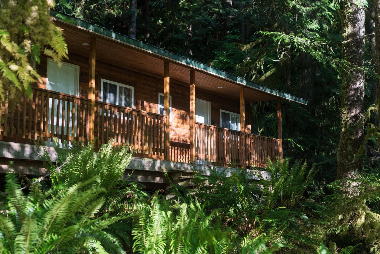 Homfray Lodge Desolation Sound Dış mekan fotoğraf